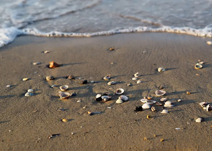 Flat With Swimming Pool And Balcony * Bibione